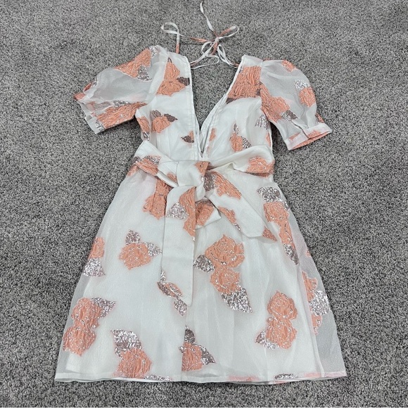 NWT! HELLO MOLLY ORCHARD FIELDS DRESS PEACH Lined Deep Neck Mini Women’s Size XS - Picture 12 of 12